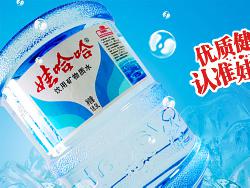 娃哈哈矿物质水价格