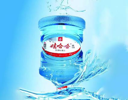 娃哈哈纯净水16.8L